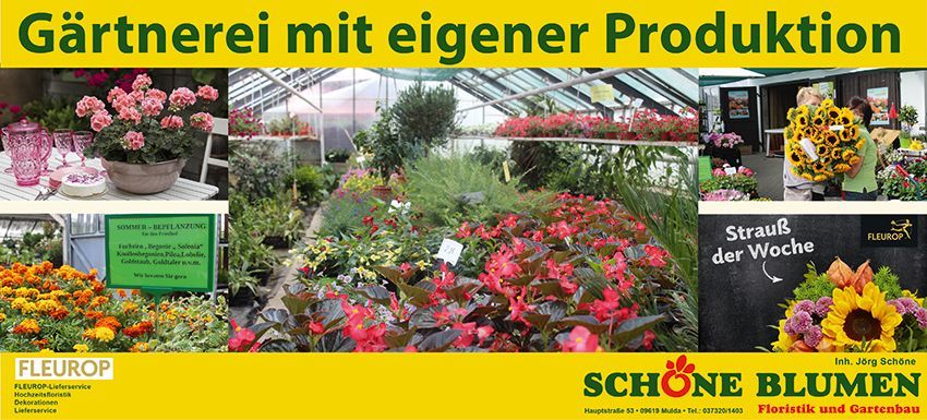 Gärtnerei mit eigener Produktion von Schöne Blumen in Mulda