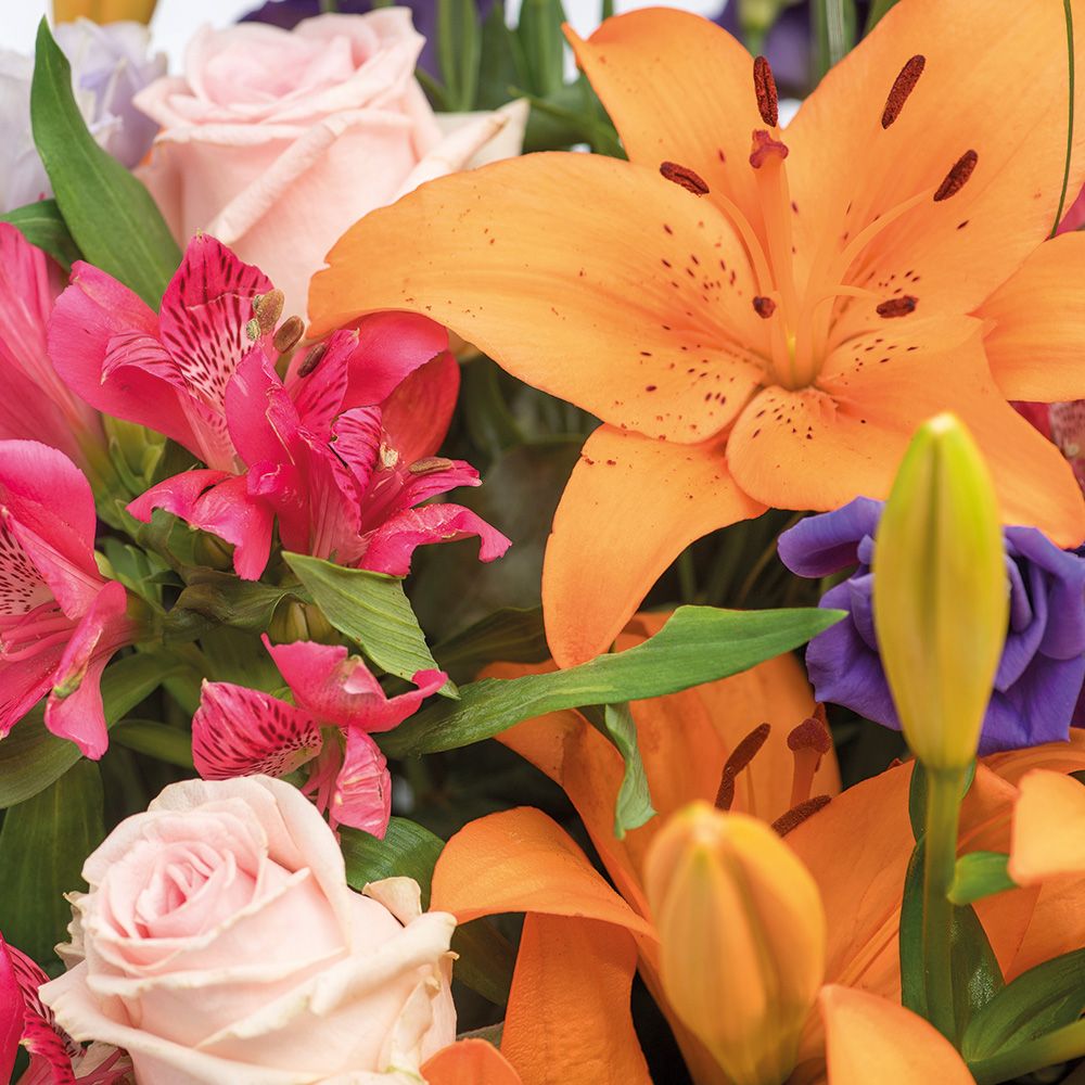 Schnittblumen aus unserer Gärtnerei in Mulda