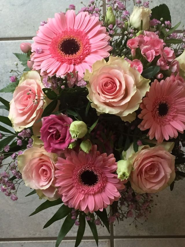 Frische Schnittblumen aus Mulda